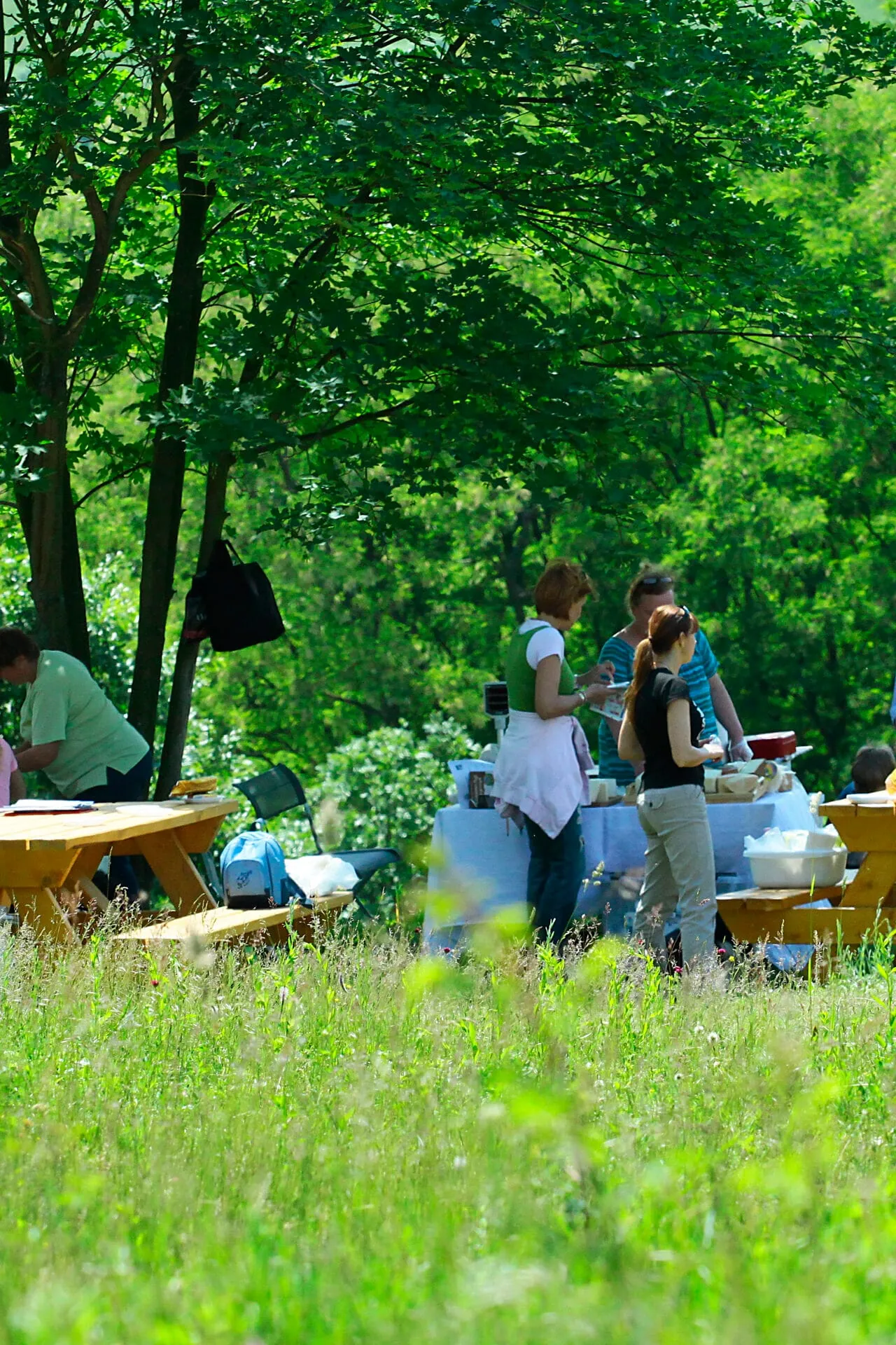 Gemeinschaftstag an den Waldtischen